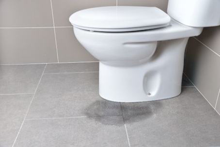 toilet leaking at the base when the tub is draining